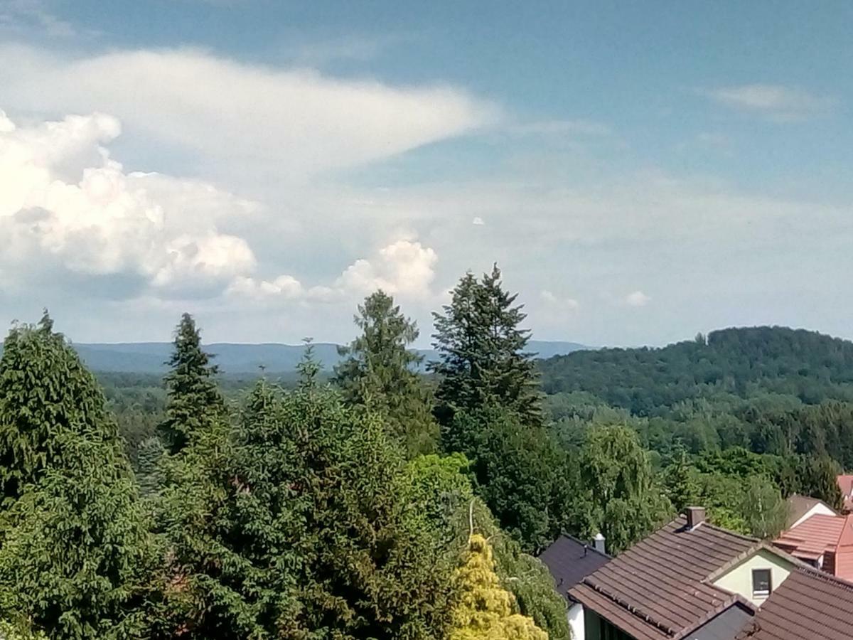 Апартаменти Jagdschloesschen-Harz Бад-Закса Екстер'єр фото